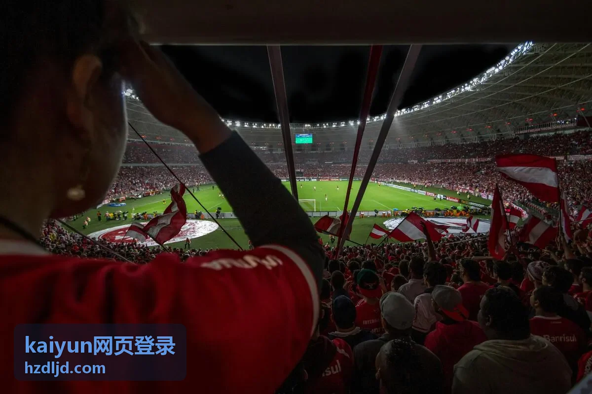kaiyun网页登录入口地址核对要点